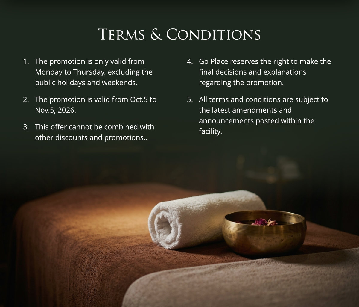Terms and Conditions